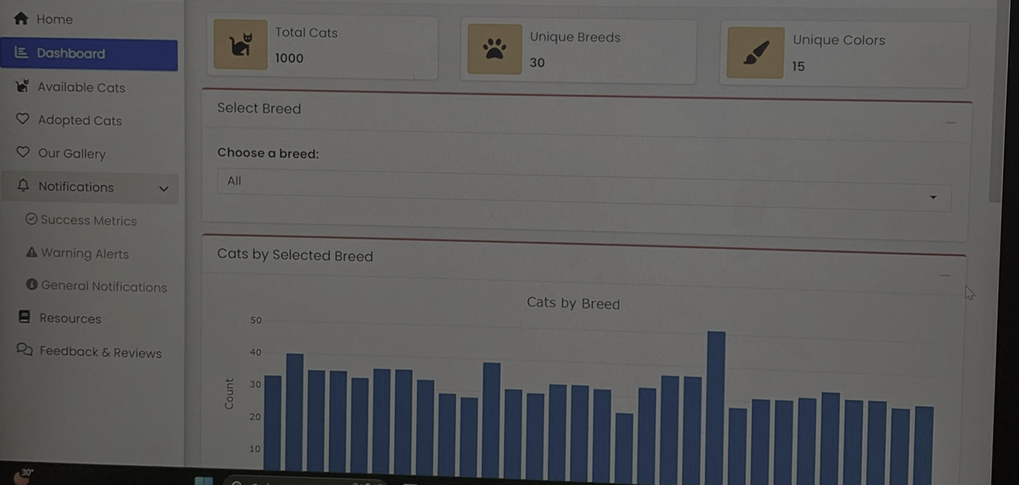 Dashboard Analitik